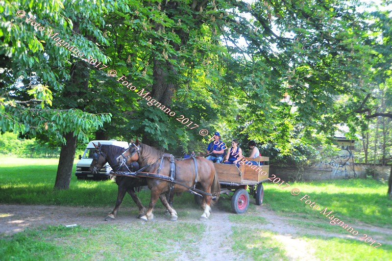 DSC_0889.JPG